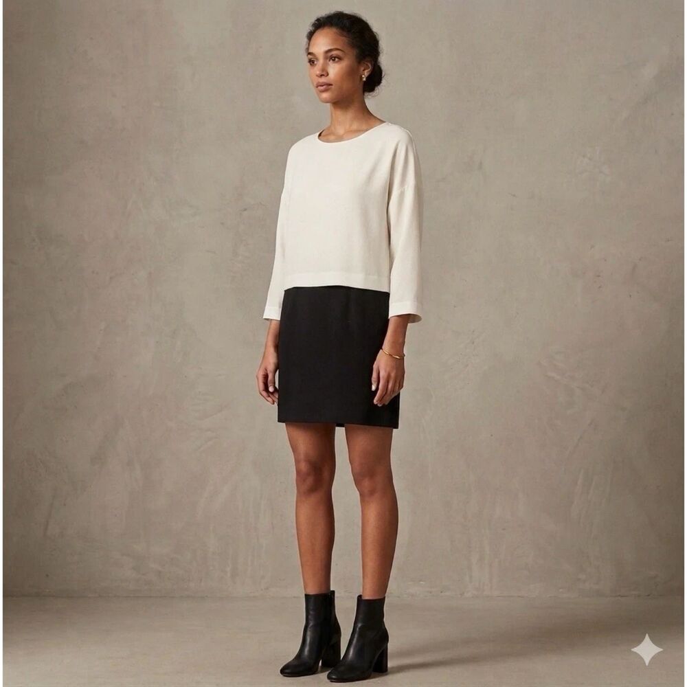 Zara Basic Dress Womens Small Colorblock Shift Contrast timeless feminine New